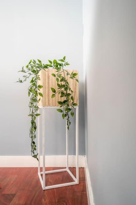 The Green House Of Stavanger Bnb 14 -Central, Sauna And Airport Shuttle Exteriér fotografie
